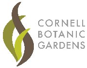 Cornell University Logo